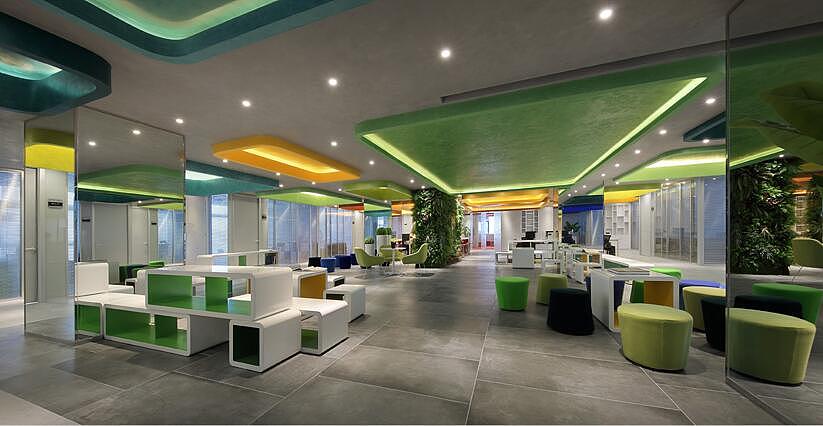 辦公室旺財?shù)牧N風水植物